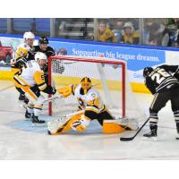 Wilkes-Barre/Scranton Penguins goaltender Casey DeSmith