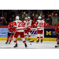 Grand Rapids Griffins react after a goal against the Rockford IceHogs