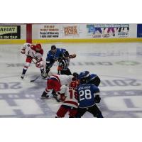 Allen Americans face off with the Idaho Steelheads