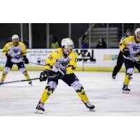 Pensacola Ice Flyers right wing Tanner Froese