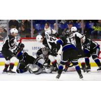 Vancouver Giants defenceman Tanner Brown battles near the Victoria Royals net