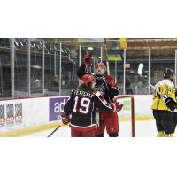Austin Fetterly and the Port Huron Prowlers celebrate a goal