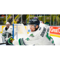 Defenseman Michael Downing with the Florida Everblades