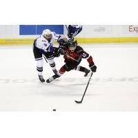 Vancouver Giants centre Justin Sourdif (right) battles for the puck against the Victoria Royals