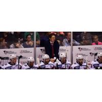 South Carolina Stingrays head coach and director of hockey operations Steve Bergin