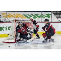 Vancouver Giants goaltender Trent Miner and defenceman Alex Kannok Leipert eye the puck vs. the Prince George Cougars