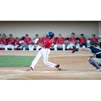 Cody Kelly of the St. Cloud Rox makes contact